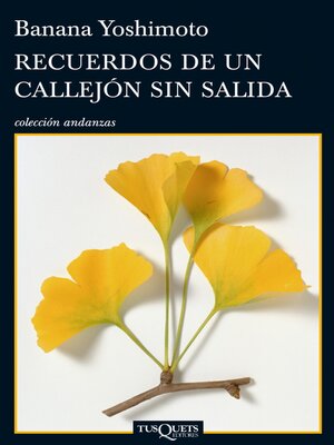 cover image of Recuerdos de un callejón sin salida